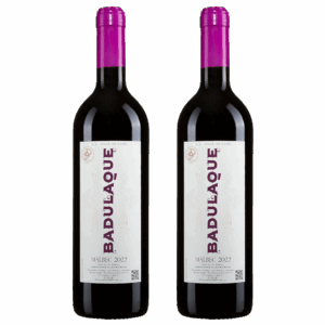 Badulaque Malbec (2 unidades)