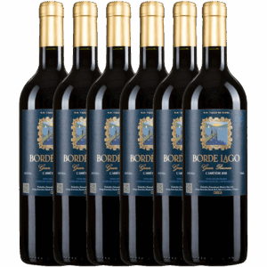 Borde Lago Carménère (6 unidades)