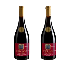 Cabernet Sauvignon 2024 (2 unidades)