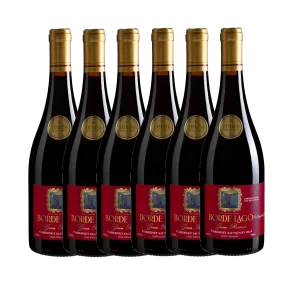 Cabernet Sauvignon 2024 (6 unidades)