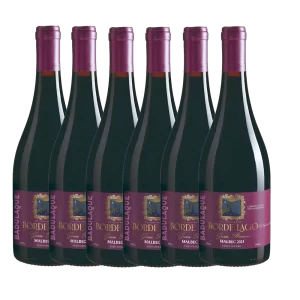 Malbec 2024 (6 unidades)