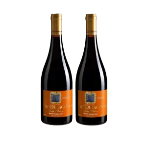 Borde Lago Petit Syrah 2024 (2 unidades)