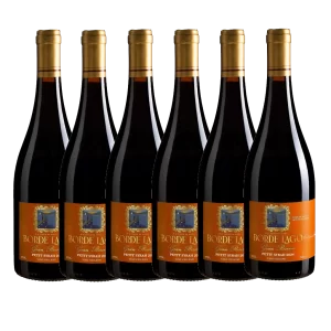 Borde Lago Petit Syrah 2024 (6 unidades)